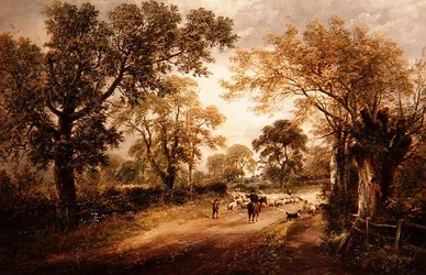 At vogte får