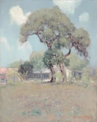 Texas Landskab