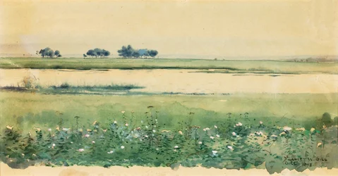 Landskab med moser, 1898.
