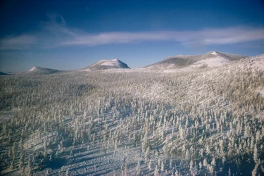 Sibirien i vinterlandskab over sump og skove dækket af sne

