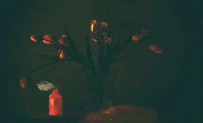 Mørke, stemningsfulde tulipaner