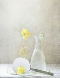 Drømmende gule blomster