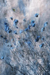 Blegblå blomster
