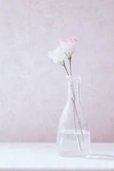 Blomster i kærlighed