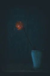Glødende rød blomst