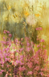 Sommerfugle i Golden Meadow