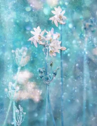 Glitrende blå blomster