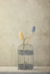 Vintage tulipaner i kurv