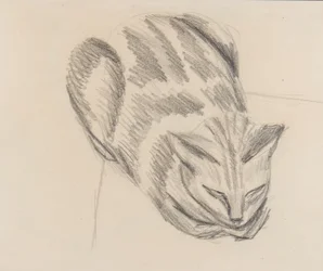 Sovende kat (blyant på papir)