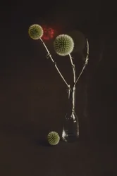 Tørrede tidsler i en vase