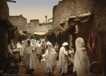 Algerisk gade i Sidi Okba, ca. 1899 (photochrom)