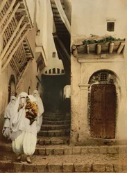 Kamelernes gade, Algier, ca. 1899 (fotokrom)