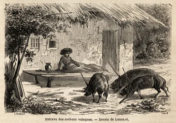 Forhindringer for de således immobiliserede forgængere af valaque-grise i Rumænien. Gravering til illustration af rejsen fra Paris til Bukarest af Lancelot, tegner, i 1860, offentliggjort i "Le tour du monde, nouveau journal des voyages", under ledelse af 