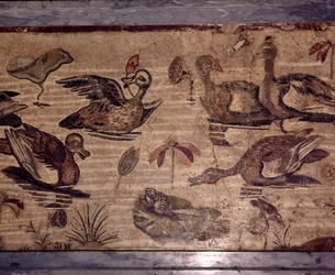 Romersk mosaik fra Pompeji af ænder og frøer i en vandhave, 1. århundrede