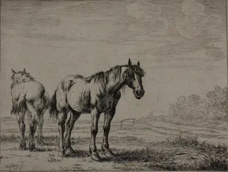 To plovheste, plade syv fra Series of Horses