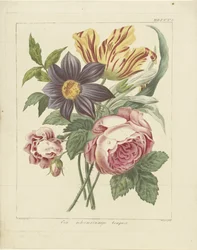 Buket blomster med pæon og tulipan En mystisk buket (titel på objekt)
