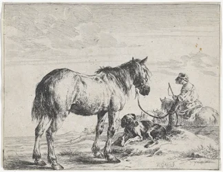 Hest bundet Heste (titelsserie)