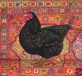 Sort tæppekylling, 1995