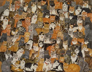 Dobbelt Cat-Spread