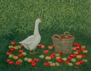 Æblekurven