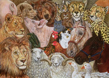 The Ark Spread, 1995