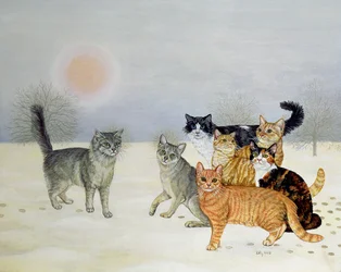 Vinter-katte