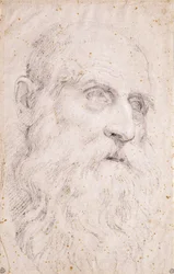 Hovedet af Saint Hieronymus