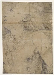 Ung mand, der ser op (halvfigur), fragment af en karton