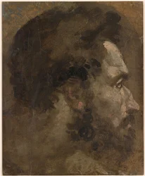 Beccafumi - Hoved af en skægget mand i profil til højre, ca. 1530-1535