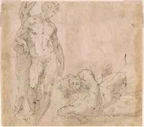 Beccafumi - Verso mandlig nøgenfigur, der læner sig op ad en træstamme, og en liggende mandlig nøgenfigur med tilbagelænet hoved, ca. 1530-1540