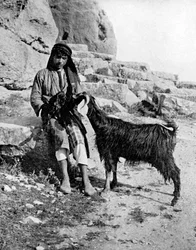 Arabisk dreng og ged, Mellemøsten, 1936.