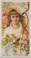 Acacia: Chaste Love, fra serien Floral Beauties and Language of Flowers N75 for Duk..., 1892.
