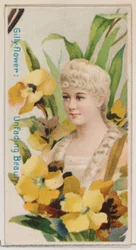 Gilly-flower: Unfading Beauty, fra serien Floral Beauties and Language of Flowers N7..., 1892.