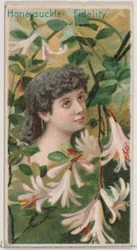 Honeysuckle: Fidelity, fra serien Floral Beauties and Language of Flowers N75 for D..., 1892.