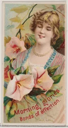 Morning Glories: Bonds of Affection, fra serien Floral Beauties and Language of Flowe..., 1892.