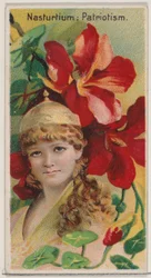 Nasturtium: Patriotism, fra serien Floral Beauties and Language of Flowers N75 for ..., 1892.