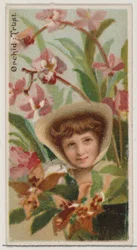 Orchid: Trust, fra serien Floral Beauties and Language of Flowers N75 for Duke bran..., 1892.