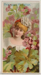 Primrose: Flirtation, fra serien Floral Beauties and Language of Flowers N75 for Du..., 1892.