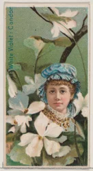 White Violet: Candor, fra serien Floral Beauties and Language of Flowers N75 for Du..., 1892.