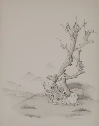 Bagagerummet