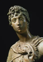 David, detalje af hovedet, 1408 marmordetalje af 79334
