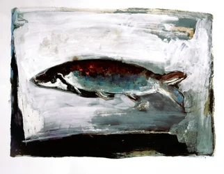 Fisk fra mørkt vand
