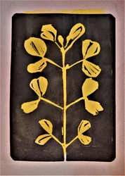 Gylden botanisk form