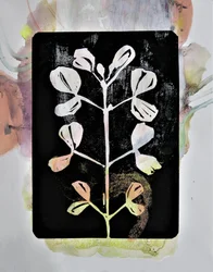 Pasteltegning af planter