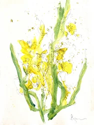 Strålende gule blomster