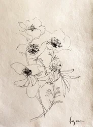 Delikat blomsterskitse
