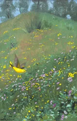 Gylden Oriel i forårsblomster