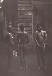 Tre madagaskiske kvinder (planche 30),1863 (foto)