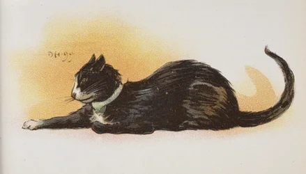 En kat.