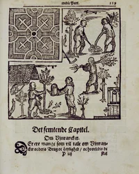Plantning af træer, fra The Dutch Gardener af Johann van der Groen, udgivet 1699